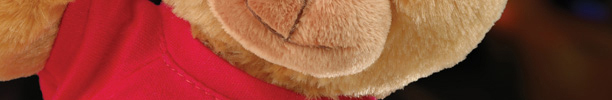 We are a plush toy factory. We can manufacture any style of teddy bear or personalized stuffed animal you require.